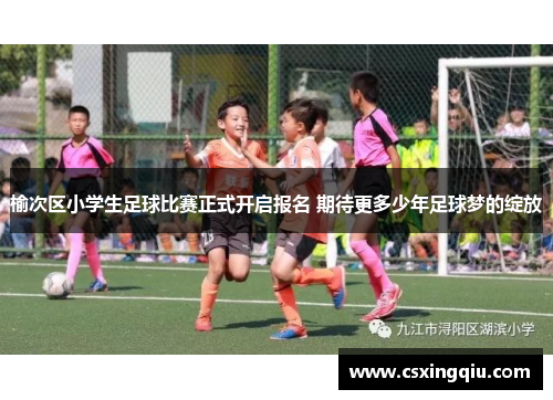 榆次区小学生足球比赛正式开启报名 期待更多少年足球梦的绽放